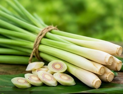 Fresh lemongrass stalks
